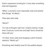 The grimmest conversation in Sonic fanfic history