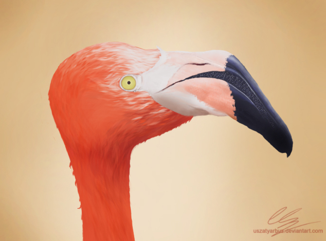 Profile of flamingo (digital painting)