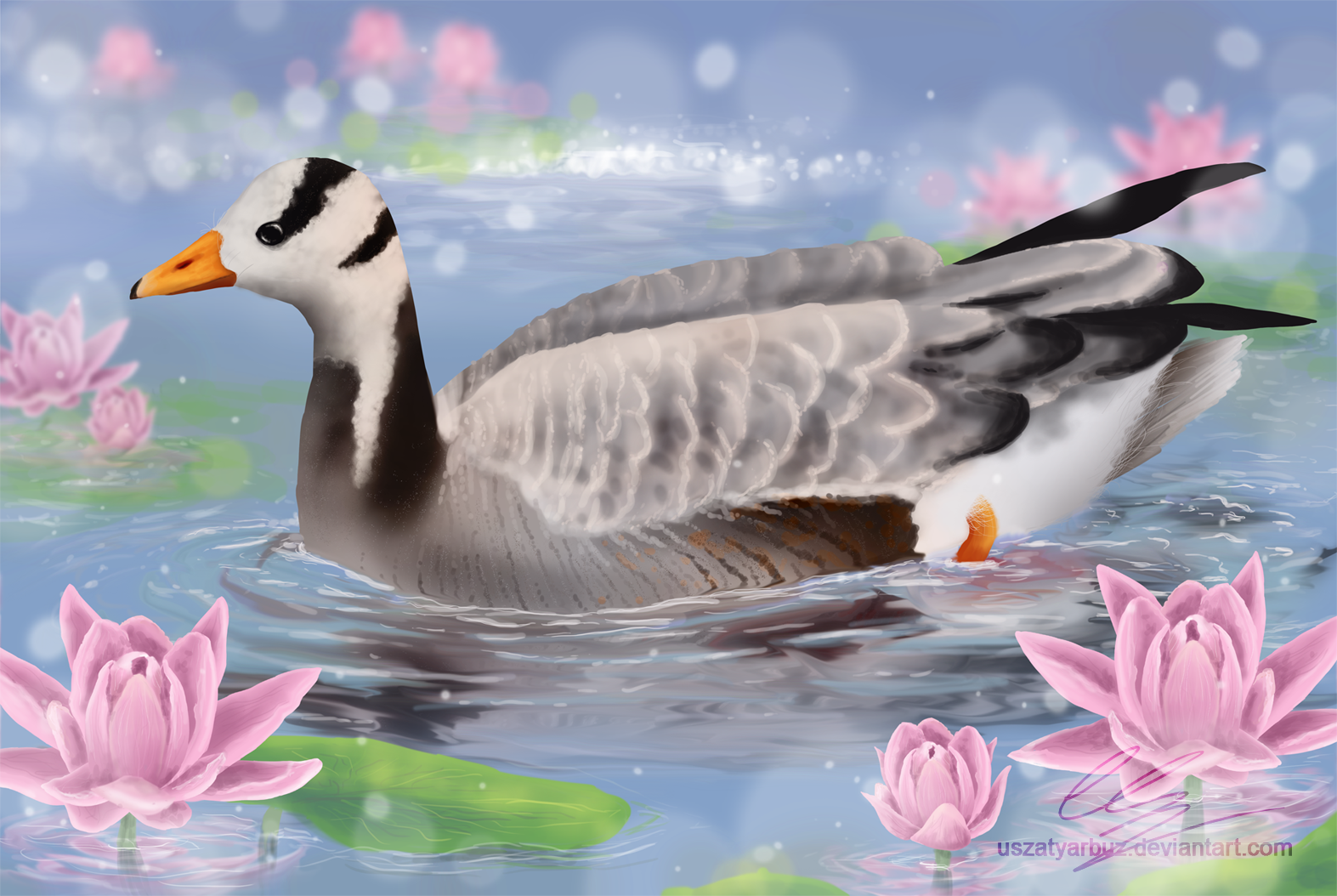 Bar-headed goose among the lilies