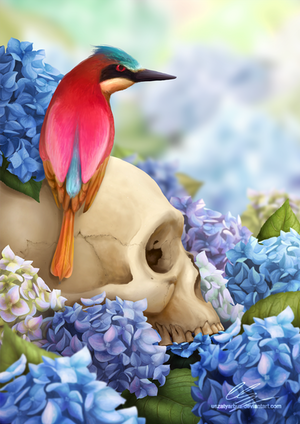 Blue Hydrangeas by UszatyArbuz Blue Hydrangeas by UszatyArbuz