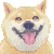 Shiba Inu by UszatyArbuz