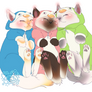 Snugly kittens