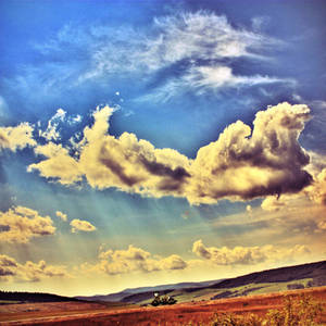 klaren blauen Himmel Ernte