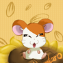 Hamtaro