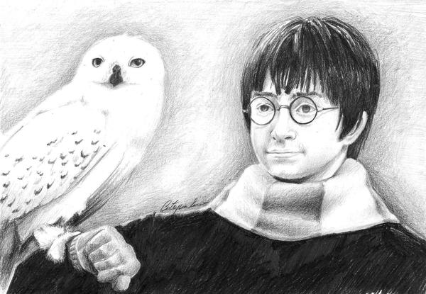 Harry Potter e Edvige by Hermionina on DeviantArt