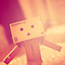 Danbo