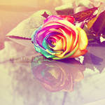 Rainbow Rose by EliseEnchanted