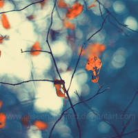 Fragile autumn