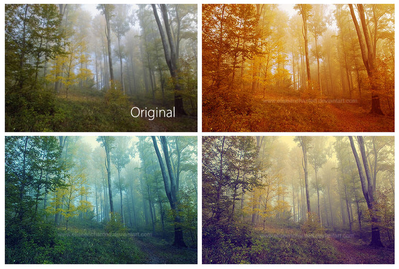 Forest actions exclusive
