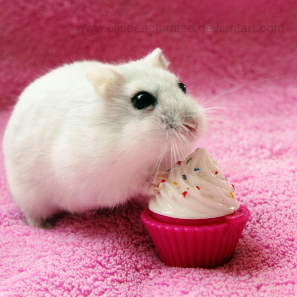 The cupcake is mine