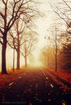 Hazy autumn by EliseEnchanted