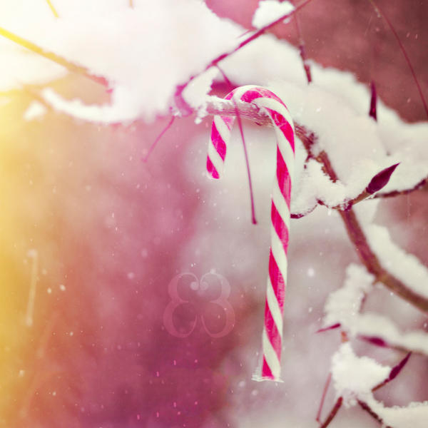 Candy Cane by EliseEnchanted