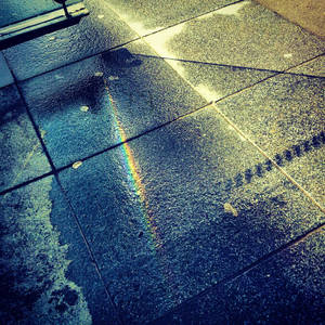 Sudden Rainbow