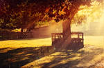 Sunlit by EliseEnchanted