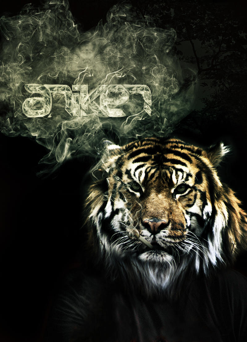 Smoking Tiger