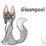 Gleampool