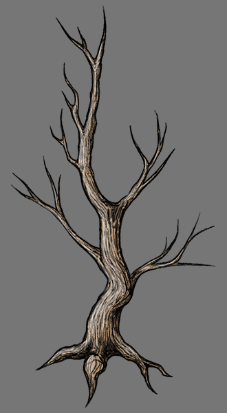 Tree Practice