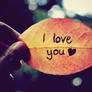 I love you...