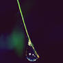 Drop of Rain