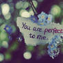 you are perfect to me.