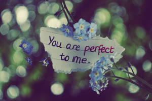you are perfect to me.