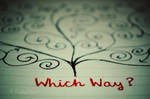 Which Way Should I Go? by this-is-the-life2905