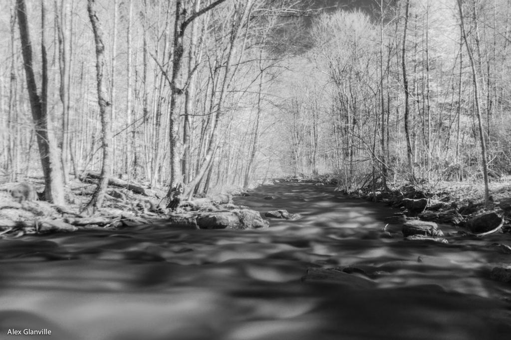 Downstream B+W (IR)