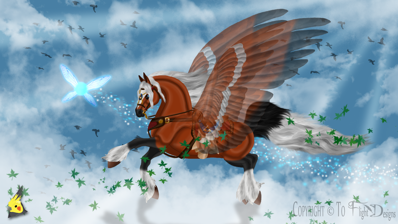 The magic of wings
