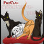 FireClan Main Characters