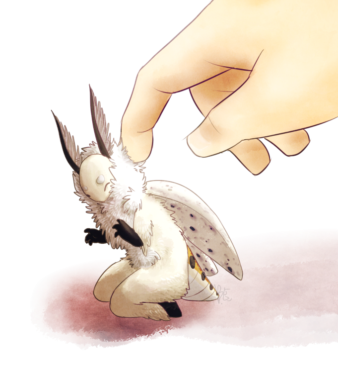 gentle petting