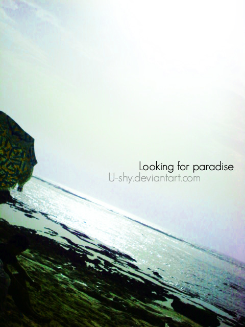 Looking for paradise...