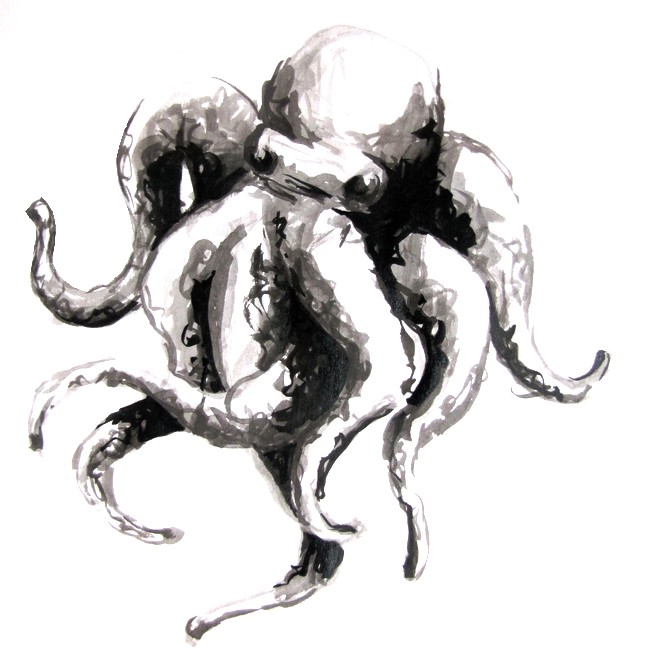 Octopus