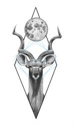 Ballpoint pen kudu