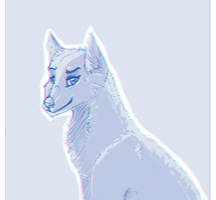 random wolf sketch