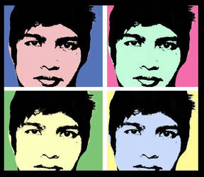 YAWS -Yet Another Warhol Style