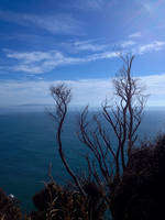 Catlins Coast