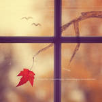 My Autumn by JeanFan