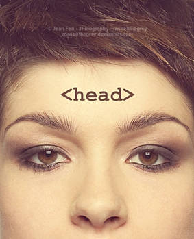 HTML HEAD