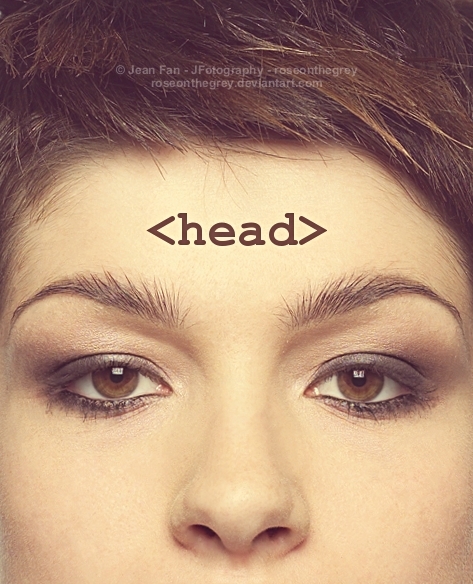 HTML HEAD