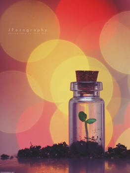 bottle it up by JeanFan