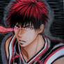 Kagami Taiga Zone