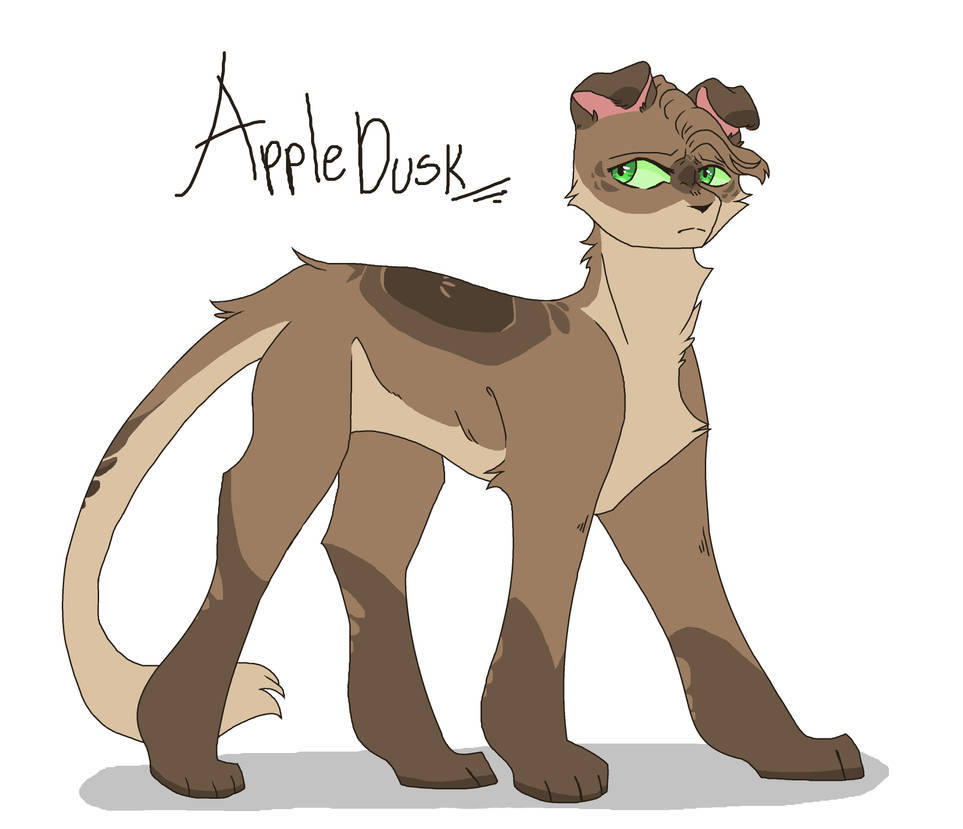 Appledusk Reference Favorite WC Characters 2 By Anne5684 On DeviantArt appledusk-reference-favorite-wc-characters-2-by-anne5684-on-deviantart