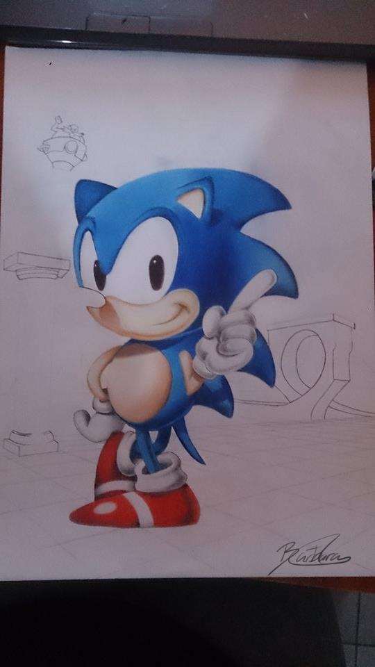 (STILL IN PROCESS) Sonic the Hedgehog!