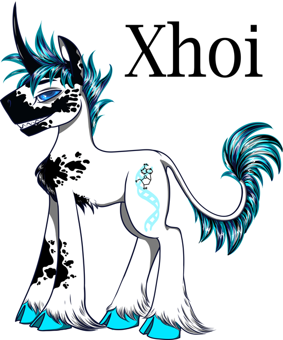 Xhoi