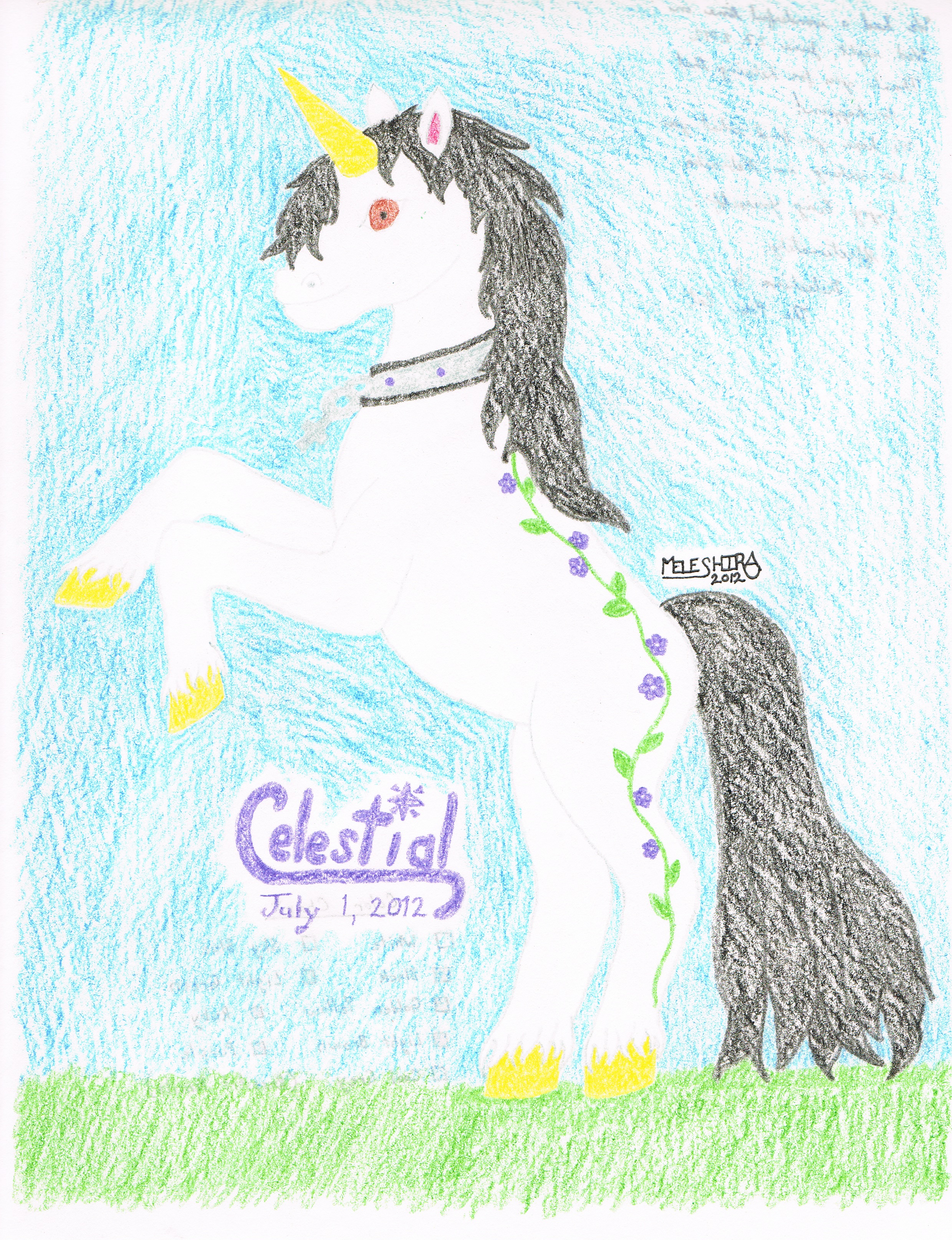 Celestial Pony