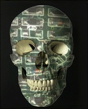 Circuit Skull