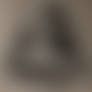 Charcoal Female Back