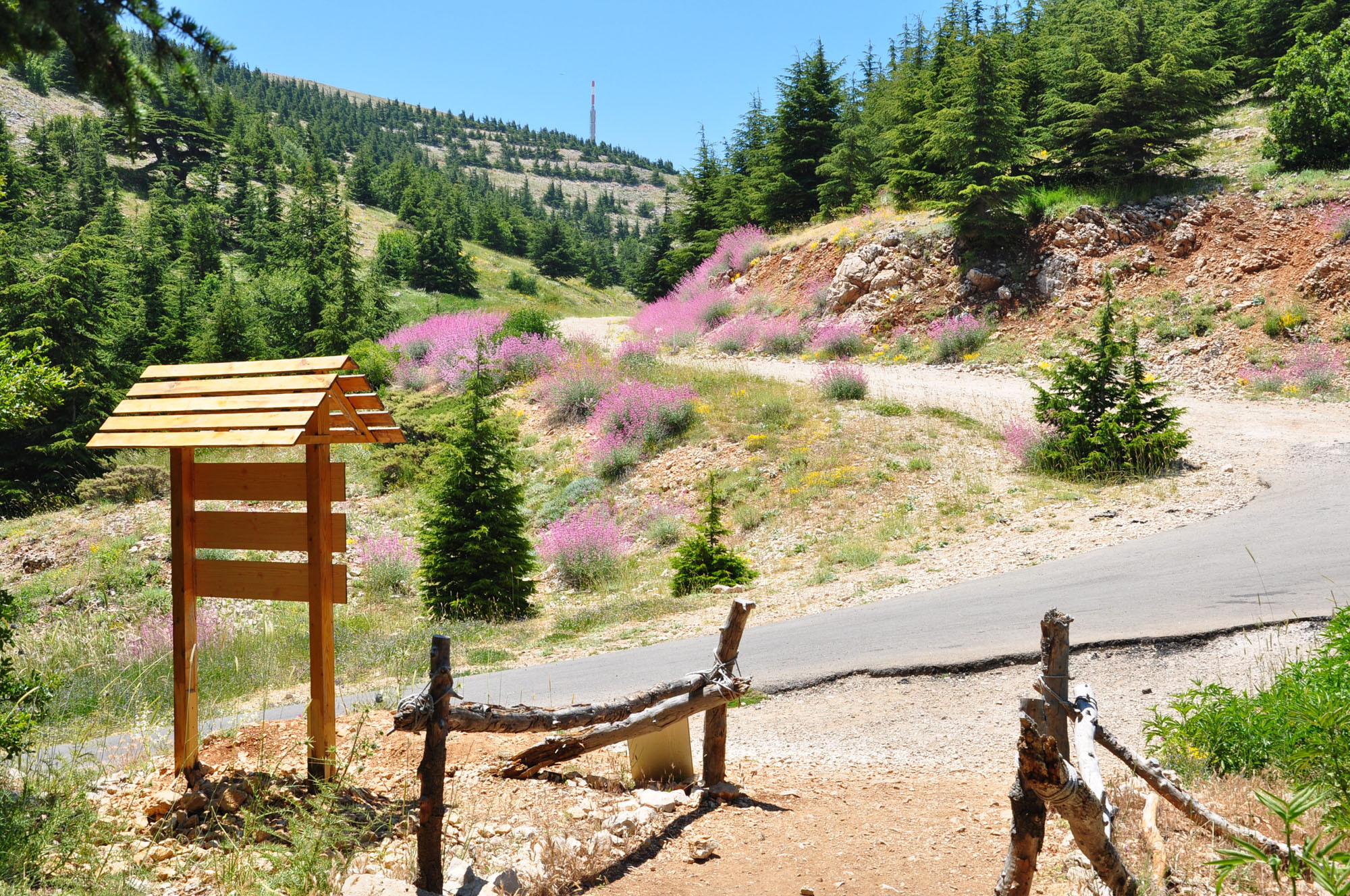 Barouk National Reserve (Cedars of Lebanon)