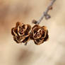 Tamarack pine cones 10