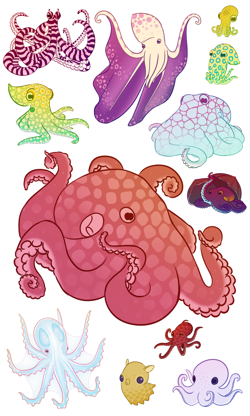 a variety of octopi